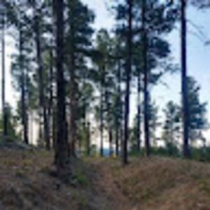 Meet your Posher, Jayden